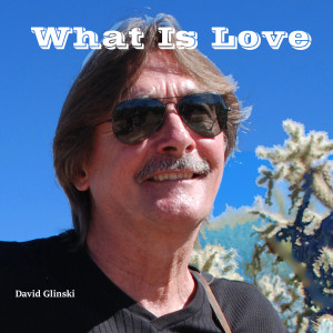 ดาวน์โหลดและฟังเพลง What Is Love พร้อมเนื้อเพลงจาก David Glinski