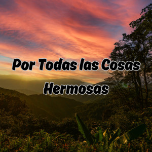 收聽Julio Miguel的Por Todas las Cosas Hermosas歌詞歌曲