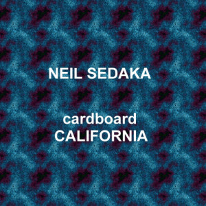 收聽Neil Sedaka的Superbird歌詞歌曲