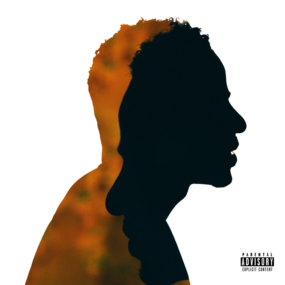 Only Fan (Remix|Explicit)