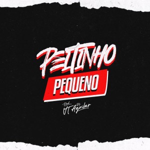 收聽DJ VT AGUILAR的Peitinho Pequeno (Live|Explicit)歌詞歌曲