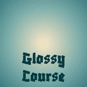 Various的专辑Glossy Course