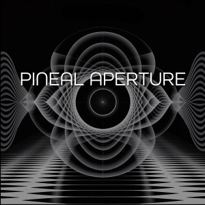 Torkom Ji的專輯Pineal Aperture