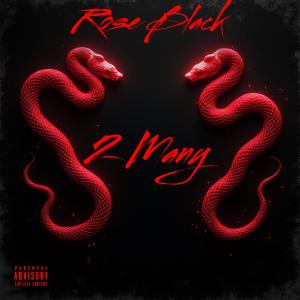 收聽Rose Black的2 Many (feat. Big jeezy) (Explicit)歌詞歌曲
