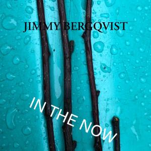 Jimmy Bergqvist的專輯IN THE NOW (feat. Cree Patterson)