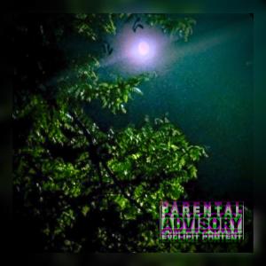 收聽Divinus的Apart (feat. Cheeto) (Explicit)歌詞歌曲