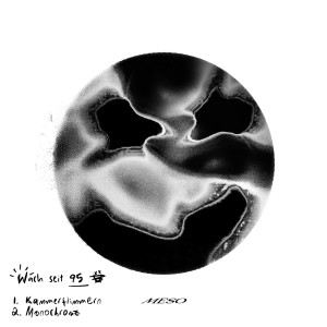 Listen to Monochrom song with lyrics from Meso