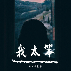 收听黎夏的我太笨歌词歌曲