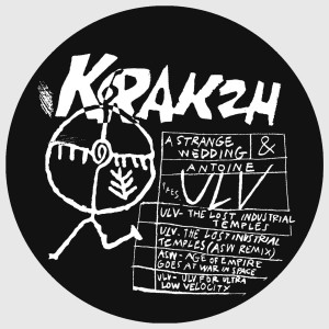 Dengarkan Age of Empire Goes At War In Space lagu dari A Strange Wedding dengan lirik