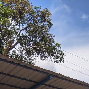 收听MUHAMAD JIBRIL的Bandit berkelas歌词歌曲