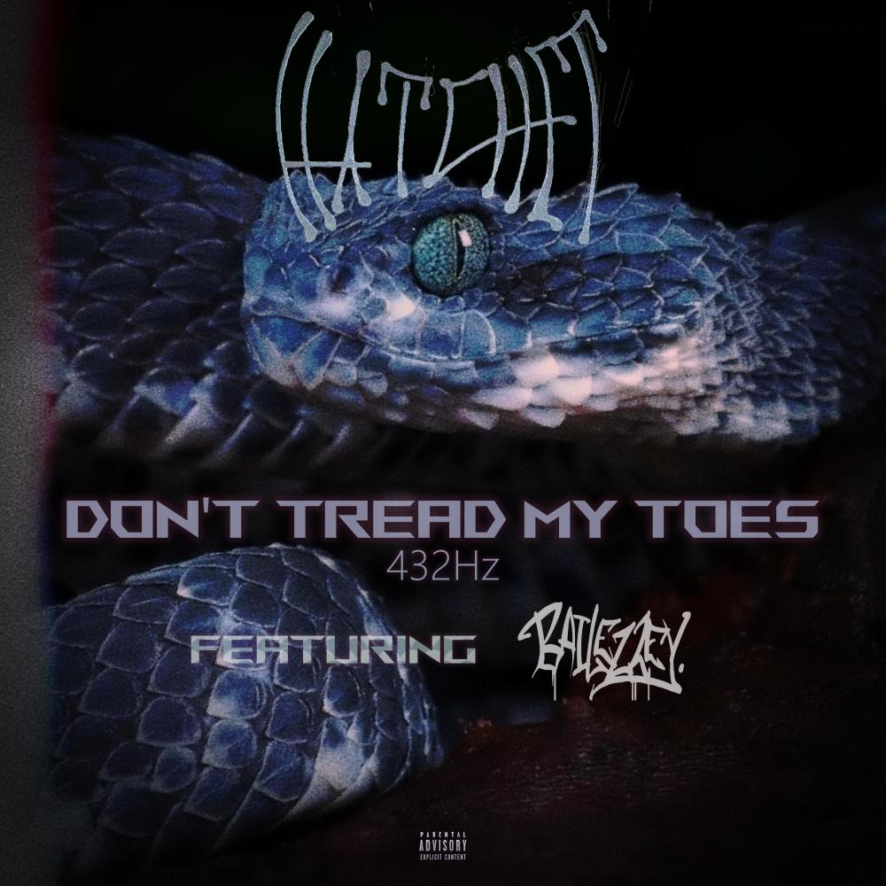Don't Tread My Toes 432Hz (feat. Bailezzey) (Explicit)