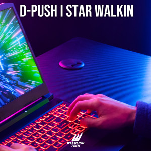 D-Push的专辑Star Walkin