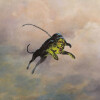 default album img