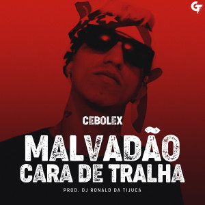 ดาวน์โหลดและฟังเพลง Malvadão Cara de Tralha พร้อมเนื้อเพลงจาก Cebolex