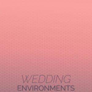 อัลบัม Wedding Environments ศิลปิน Various