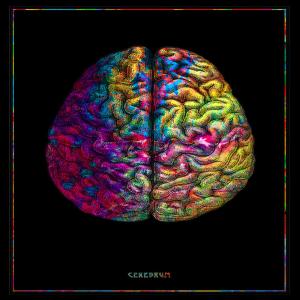 收聽Pna的Think With Your Brain歌詞歌曲