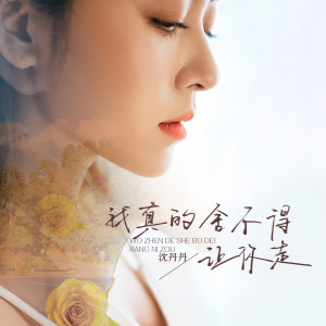 Listen to 我真的舍不得让你走 (完整版) song with lyrics from 沈丹丹
