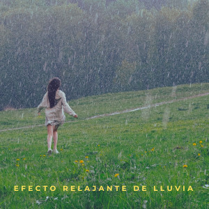 Calma的专辑Efecto Relajante De Lluvia