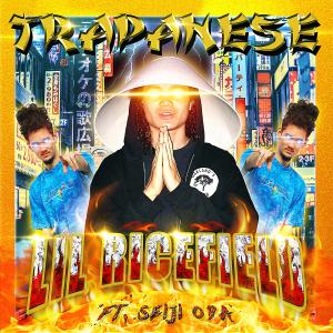 收聽lil ricefield的Trapanese (Explicit)歌詞歌曲