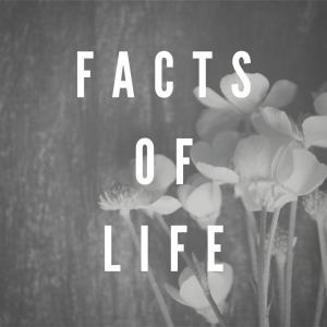 Listen to Facts of Life song with lyrics from Snoops