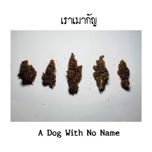ดาวน์โหลดและฟังเพลง เราเมากัญ พร้อมเนื้อเพลงจาก A DOG WITH NO NAME