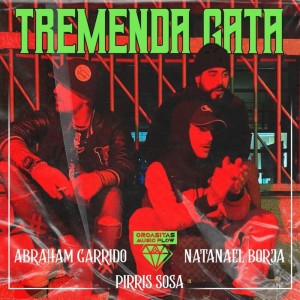 Listen to Tremenda Gata song with lyrics from Abraham Garrido