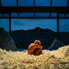 default album img