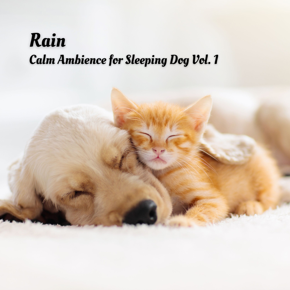 Gentle Tweets on Rainfall