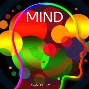 Album Mind from SandyFly