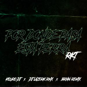 Album POR DONDE PASA ESTA PERRA (feat. Kouro & Brian Remix) oleh DJ Lazerk Rmx