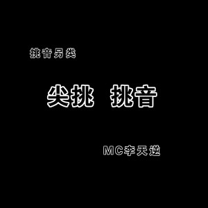 Album 尖挑挑音另类 from MC李天逆