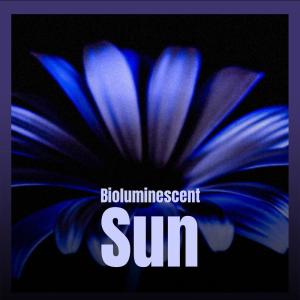 Album Bioluminescent Sun from Various