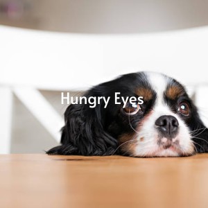 收听Bill Anderson的Circle in a Triangle歌词歌曲