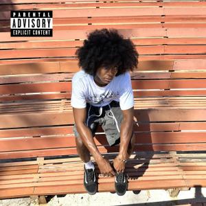 Album LEGROOM (Explicit) from Lani