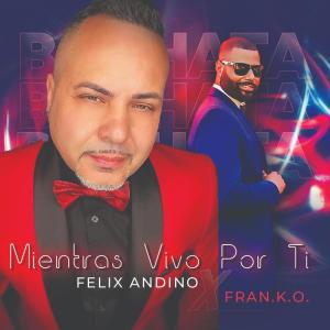 Felix Andino的专辑Mientras Vivo por Ti