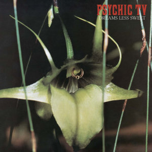 ดาวน์โหลดและฟังเพลง The Orchids พร้อมเนื้อเพลงจาก Psychic TV