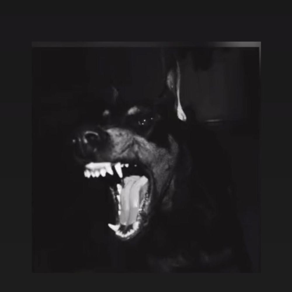 King of da hill (feat. KoxkyTR) (Explicit)