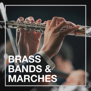 Exam Study Classical Music Orchestra的專輯Brass Bands & Marches