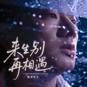 海来阿木的专辑来生别再相遇