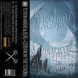 收听SLVG的FLASH FREEZE(feat. TUNDRAMANE)歌词歌曲