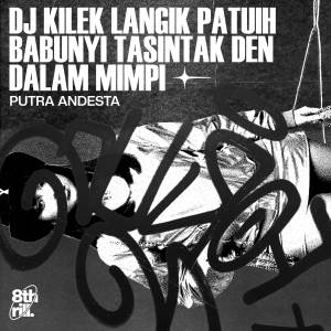 อัลบัม DJ KILEK LANGIK PATUIH BABUNYI TASINTAK DEN DALAM MIMPI ศิลปิน PUTRA ANDESTA