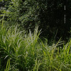 收聽Zake的Laudation (feat. Wayne Robert Thomas)歌詞歌曲