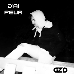 Listen to J'ai peur song with lyrics from GZD