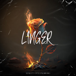 的專輯Linger