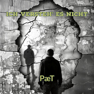 Listen to Ich Versteh' es Nicht song with lyrics from PæT