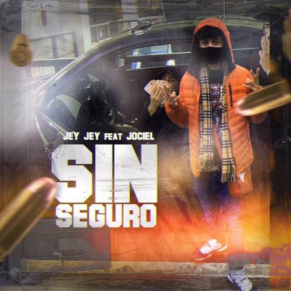 Sin Seguro