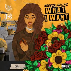 Breeze Dollaz的专辑What I Want (Explicit)