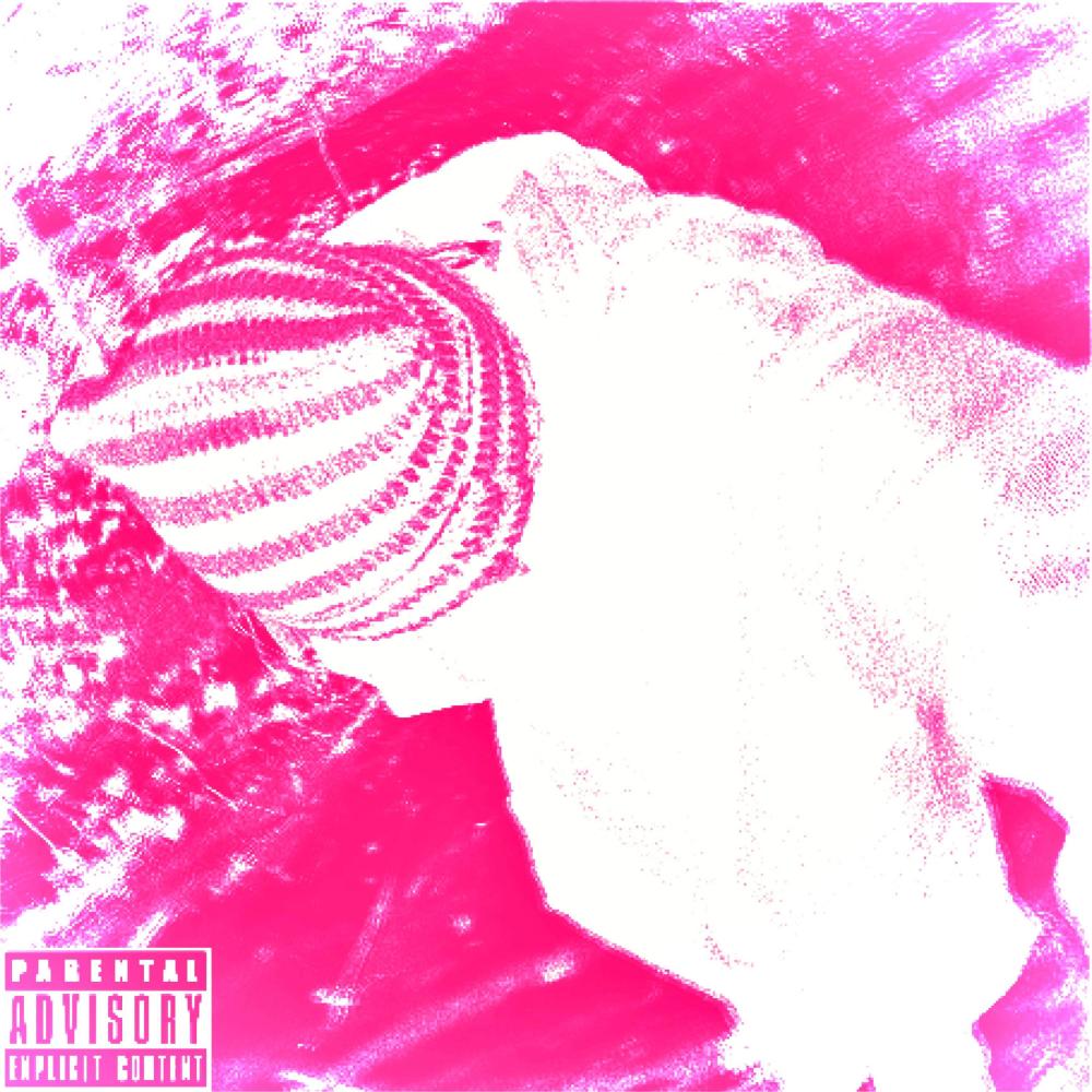 DONT GIVE 2 FUCKS! (Explicit)