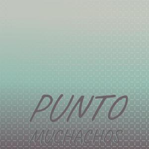 Album Punto Muchachos oleh Various