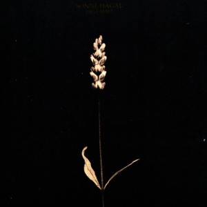 ดาวน์โหลดและฟังเพลง Song of Experience พร้อมเนื้อเพลงจาก Sonne Hagal